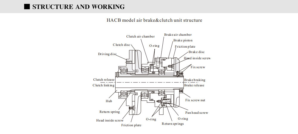 HACB-MODEL_03.jpg
