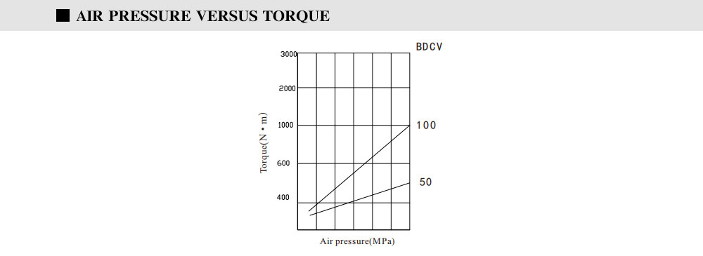 BDCV-MODEL_05.jpg