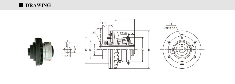 NAC-MODEL_06.jpg
