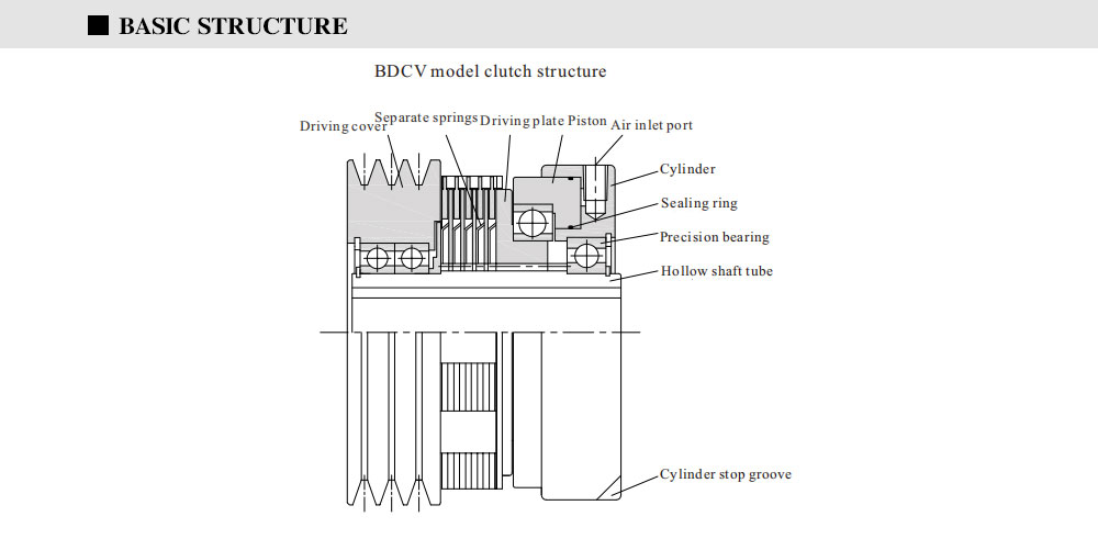 BDCV-MODEL_03.jpg