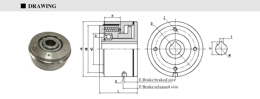 CBM-MODEL_04.jpg